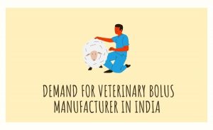 veterinary bolus manufacturer in india